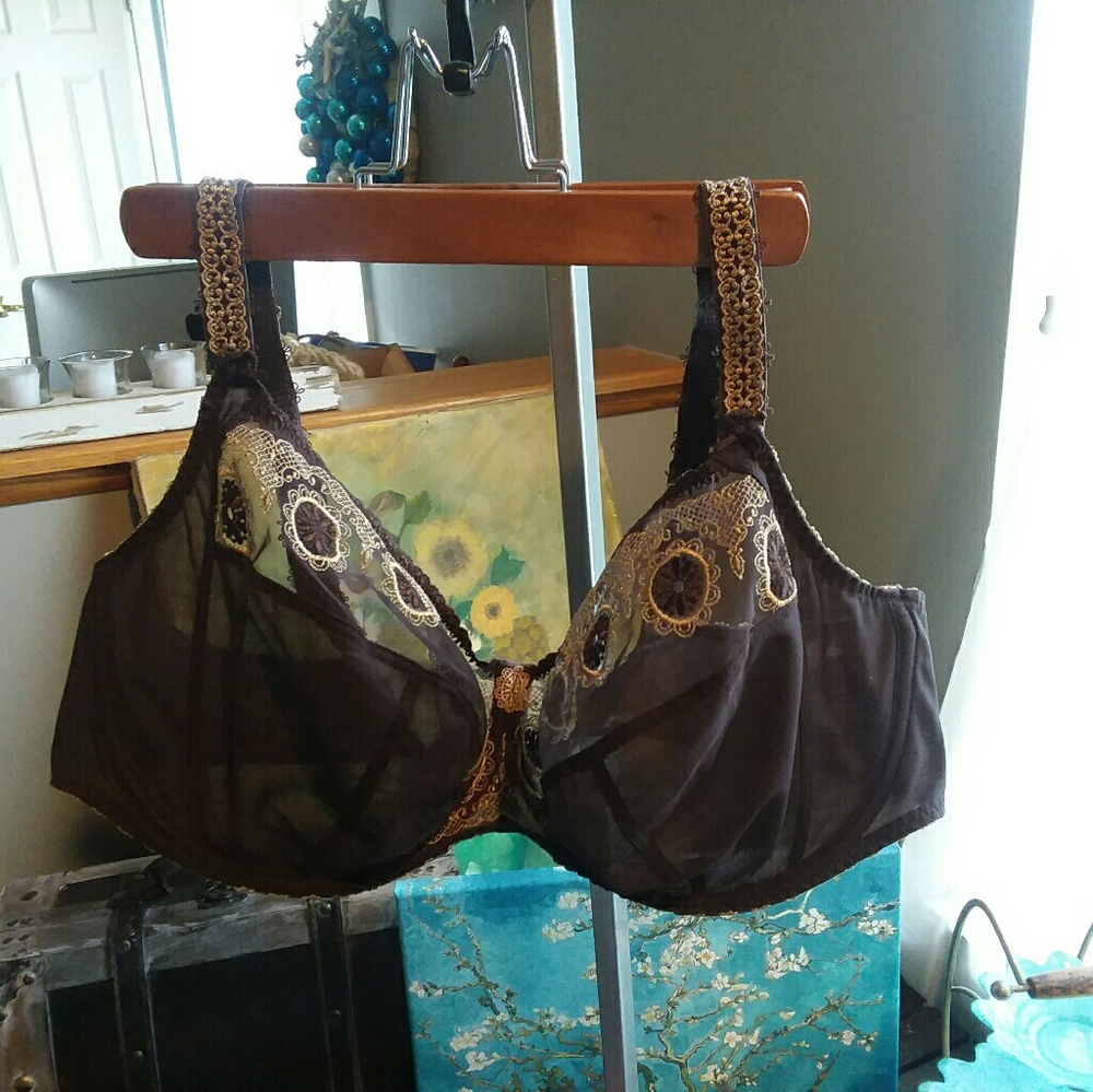 Semi sheer brown bra with beautiful details